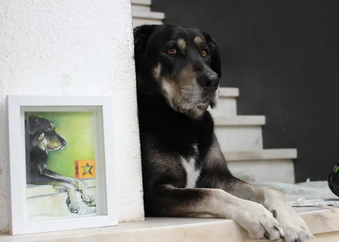 5th Element House Caparica Costa de Caparica